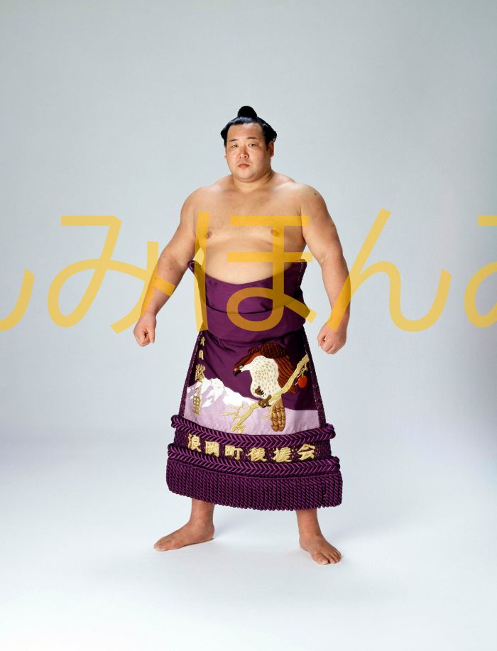 隆の里俊英関　優勝ミニ額 大相撲ミニ額 大相撲優勝額　昭和５７年９月場所 全勝 大関 隆の里俊英関（初優勝）優勝記念品 相撲グッズ 力士グッズ 相撲取りグッズ 国技館 限定品 記念品 コレクション 写真 S5709