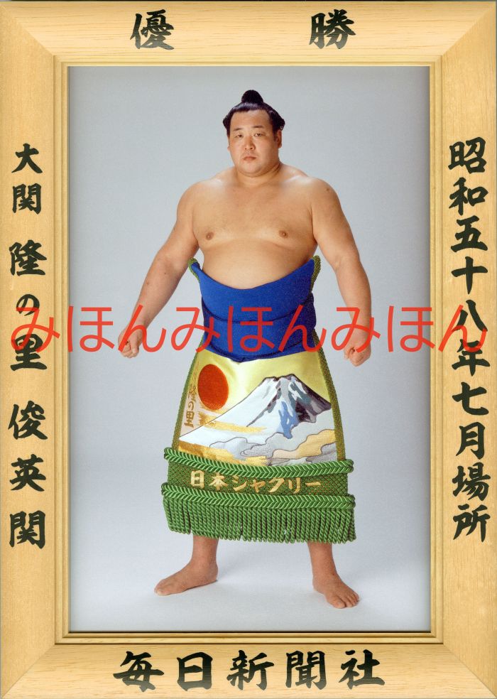 隆の里俊英関　優勝ミニ額 大相撲ミニ額 大相撲優勝額　昭和５８年７月場所 優勝 大関 隆の里俊英関（２回目の優勝）優勝記念品 相撲グッズ 力士グッズ 相撲取りグッズ 国技館 限定品 記念品 コレクション 写真 S5807
