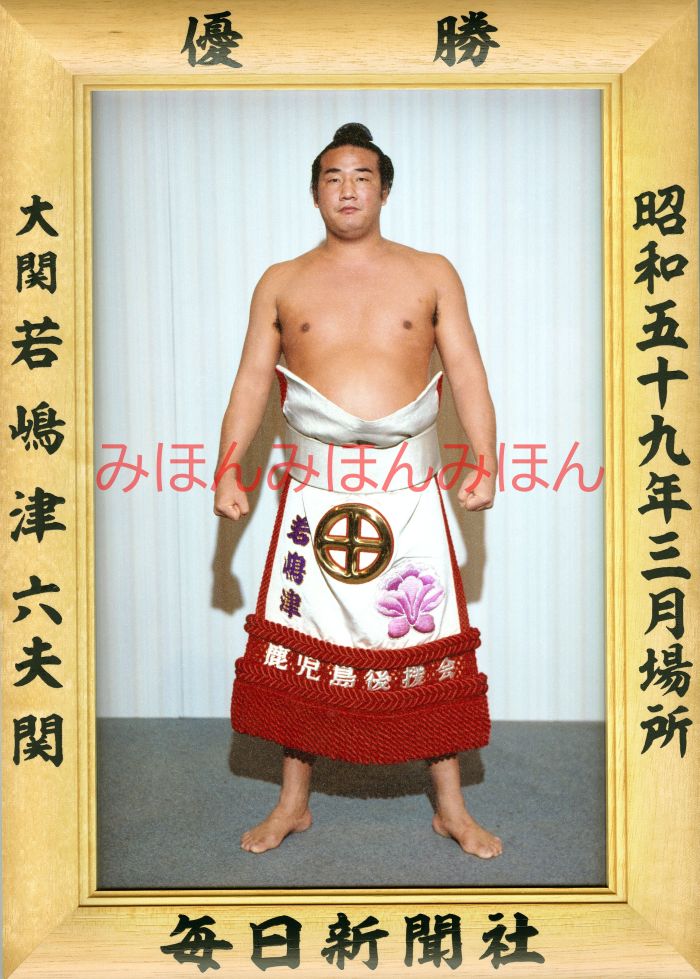 若嶋津六夫関　優勝ミニ額 大相撲ミニ額 大相撲優勝額　昭和５９年３月場所 優勝 大関 若嶋津六夫関（初優勝）優勝記念品 相撲グッズ 力士グッズ 相撲取りグッズ 国技館 限定品 記念品 コレクション 写真 S5903