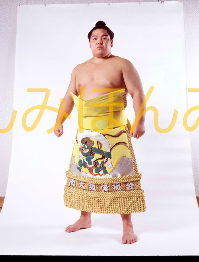 北勝海信芳関　優勝ミニ額 大相撲ミニ額 大相撲優勝額　昭和６２年３月場所 優勝 大関 北勝海信芳関（２回目の優勝）優勝記念品 相撲グッズ 力士グッズ 相撲取りグッズ 国技館 限定品 記念品 コレクション 写真 S6203