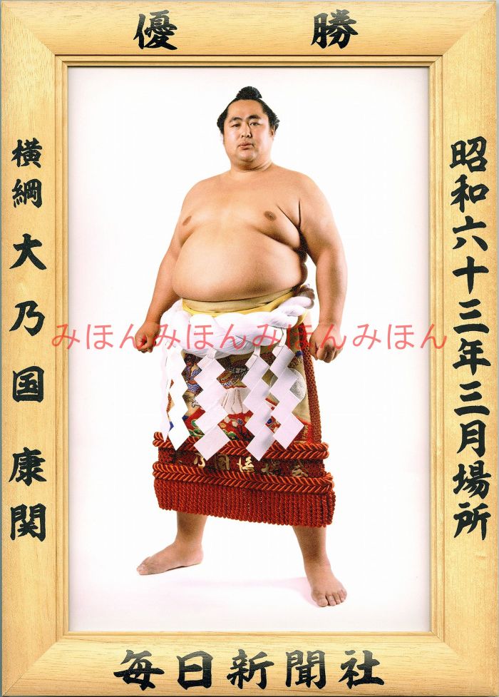 大乃国康関　優勝ミニ額 大相撲ミニ額 大相撲優勝額　昭和６３年３月場所 優勝 横綱 大乃国康関（２回目の優勝）優勝記念品 相撲グッズ 力士グッズ 相撲取りグッズ 国技館 限定品 記念品 コレクション 写真 S6303