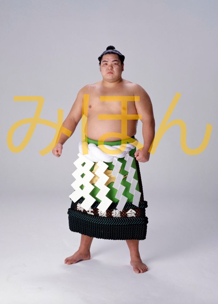 北勝海信芳関　優勝ミニ額 大相撲ミニ額 大相撲優勝額　平成元年１月場所 優勝 横綱 北勝海信芳関（４回目の優勝）優勝記念品 相撲グッズ 力士グッズ 相撲取りグッズ 国技館 限定品 記念品 コレクション 写真 H0101