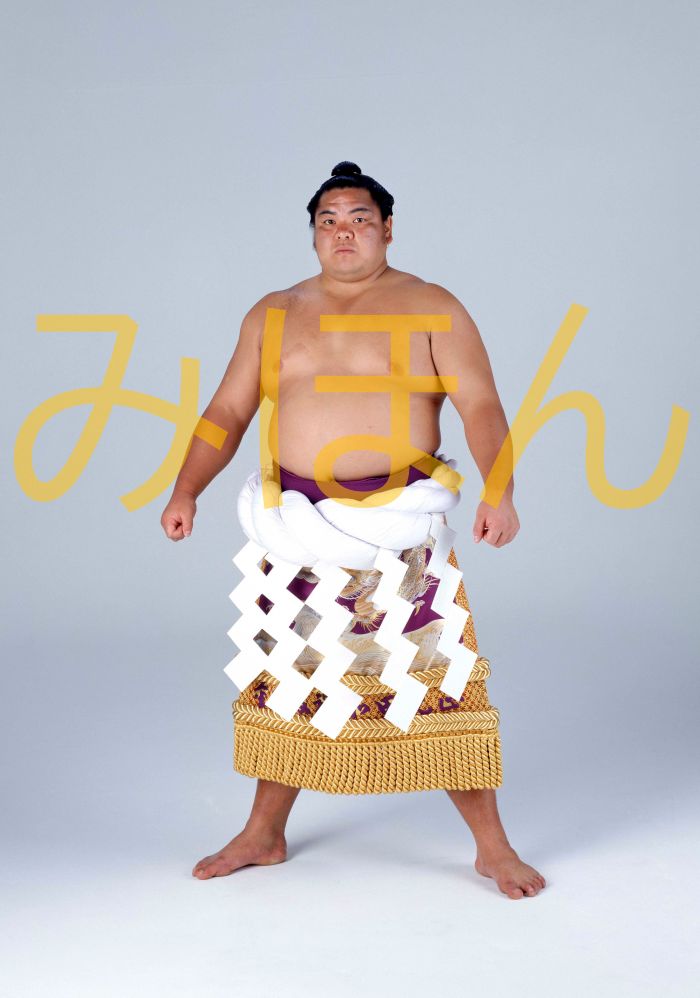 北勝海信芳関　優勝ミニ額 大相撲ミニ額 大相撲優勝額　平成元年５月場所 優勝 横綱 北勝海信芳関（５回目の優勝）優勝記念品 相撲グッズ 力士グッズ 相撲取りグッズ 国技館 限定品 記念品 コレクション 写真 H0105