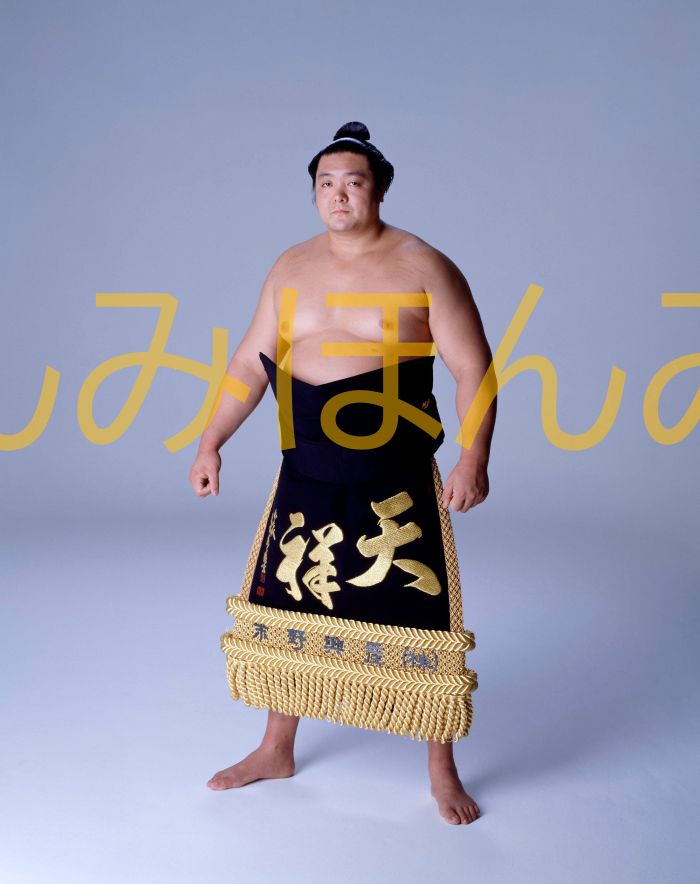 旭富士正也関　優勝ミニ額 大相撲ミニ額 大相撲優勝額　平成２年５月場所 優勝 大関 旭富士正也関（２回目の優勝）優勝記念品 相撲グッズ 力士グッズ 相撲取りグッズ 国技館 限定品 記念品 コレクション 写真 H0205