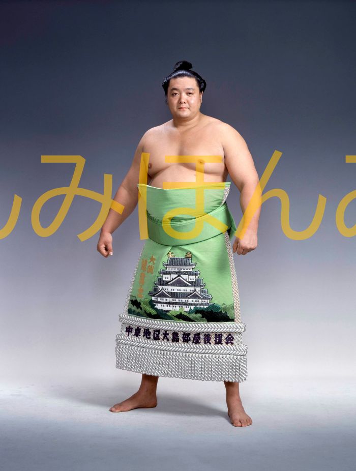 旭富士正也関　優勝ミニ額 大相撲ミニ額 大相撲優勝額　平成２年７月場所 優勝 大関 旭富士正也関（３回目の優勝）優勝記念品 相撲グッズ 力士グッズ 相撲取りグッズ 国技館 限定品 記念品 コレクション 写真 H0207