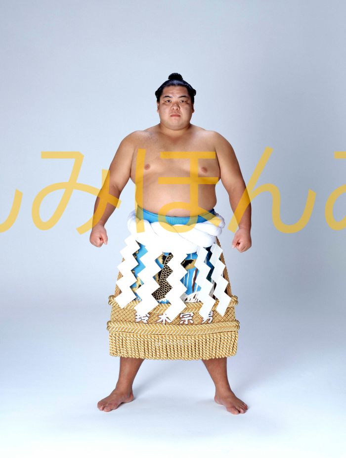 北勝海信芳関　優勝ミニ額 大相撲ミニ額 大相撲優勝額　平成２年９月場所 優勝 横綱 北勝海信芳関（７回目の優勝）優勝記念品 相撲グッズ 力士グッズ 相撲取りグッズ 国技館 限定品 記念品 コレクション 写真 H0209