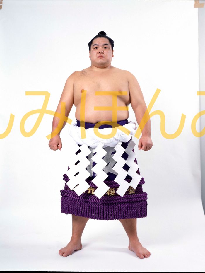 北勝海信芳関　優勝ミニ額 大相撲ミニ額 大相撲優勝額　平成３年３月場所 優勝 横綱 北勝海信芳関（８回目最後の優勝）優勝記念品 相撲グッズ 力士グッズ 相撲取りグッズ 国技館 限定品 記念品 コレクション 写真 H0303
