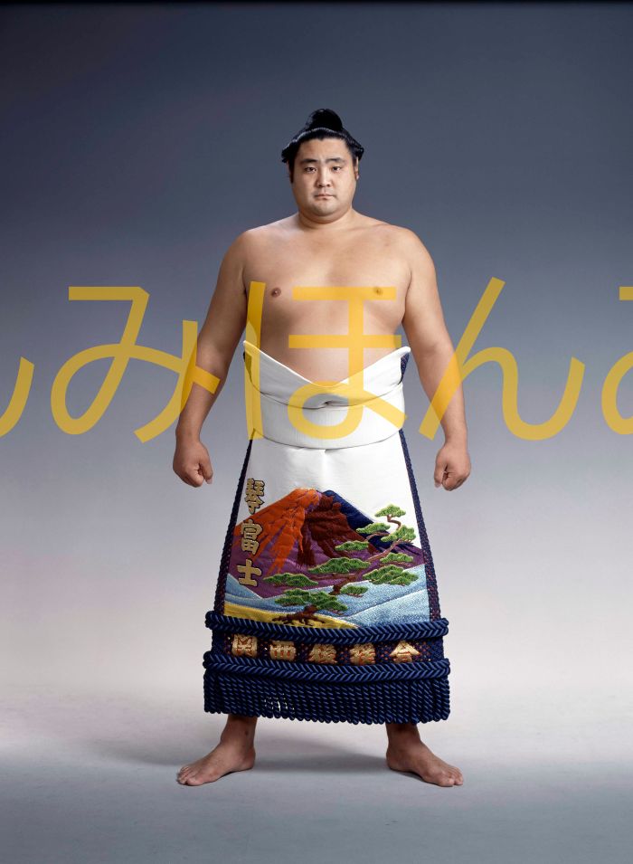 琴富士孝也関　優勝ミニ額 大相撲ミニ額 大相撲優勝額　平成３年７月場所 優勝 前頭 琴富士孝也関優勝記念品 相撲グッズ 力士グッズ 相撲取りグッズ 国技館 限定品 記念品 コレクション 写真 H0307