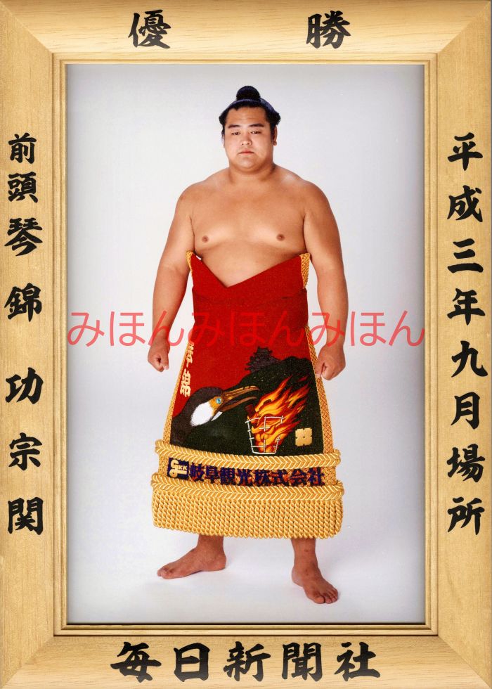 琴錦功宗関　優勝ミニ額 大相撲ミニ額 大相撲優勝額　平成３年９月場所 優勝 前頭 琴錦功宗関（初優勝）優勝記念品 相撲グッズ 力士グッズ 相撲取りグッズ 国技館 限定品 記念品 コレクション 写真 H0309