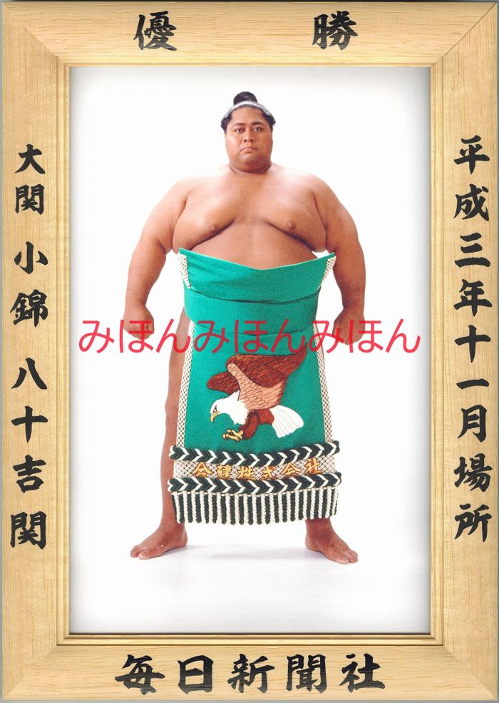 小錦八十吉関　優勝ミニ額 大相撲ミニ額 大相撲優勝額　平成３年１１月場所 優勝 大関 小錦八十吉関（２回目の優勝）優勝記念品 相撲グッズ 力士グッズ 相撲取りグッズ 国技館 限定品 記念品 コレクション 写真 H0311
