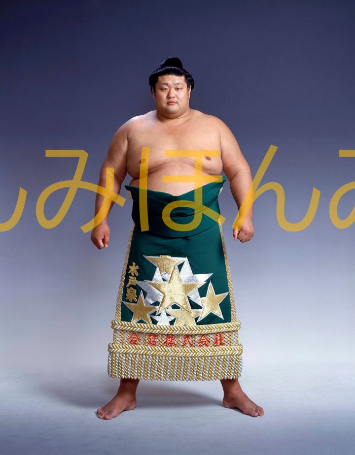 水戸泉政人関　優勝ミニ額 大相撲ミニ額 大相撲優勝額　平成４年７月場所 優勝 前頭 水戸泉政人関優勝記念品 相撲グッズ 力士グッズ 相撲取りグッズ 国技館 限定品 記念品 コレクション 写真 H0407