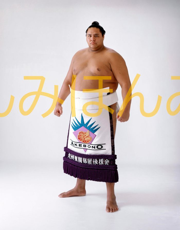 曙太郎関　優勝ミニ額 大相撲ミニ額 大相撲優勝額　平成４年１１月場所 優勝 大関 曙太郎関（２回目の優勝）優勝記念品 相撲グッズ 力士グッズ 相撲取りグッズ 国技館 限定品 記念品 コレクション 写真 H0411