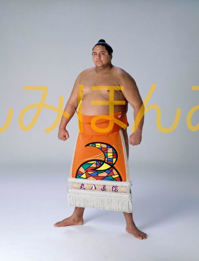 曙太郎関　優勝ミニ額 大相撲ミニ額 大相撲優勝額　平成５年１月場所 優勝 大関 曙太郎関（３回目の優勝）優勝記念品 相撲グッズ 力士グッズ 相撲取りグッズ 国技館 限定品 記念品 コレクション 写真 H0501