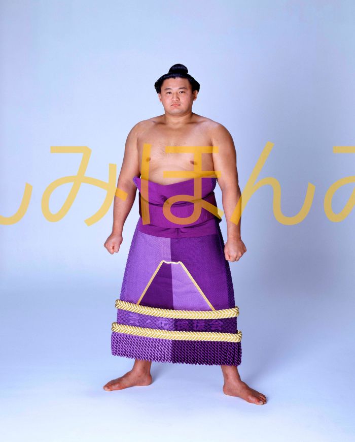貴ノ花光司関　優勝ミニ額 大相撲ミニ額 大相撲優勝額　平成５年５月場所 優勝 大関 貴ノ花光司関（３回目の優勝）優勝記念品 相撲グッズ 力士グッズ 相撲取りグッズ 国技館 限定品 記念品 コレクション 写真 H0505