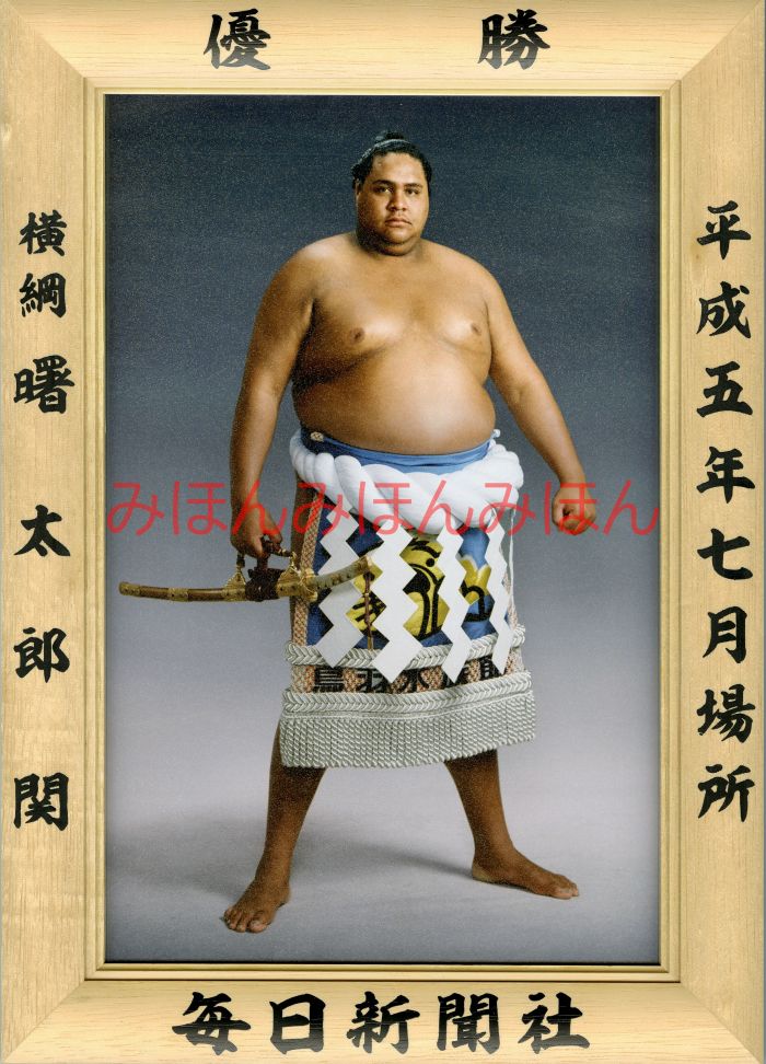 曙太郎関　優勝ミニ額 大相撲ミニ額 大相撲優勝額　平成５年７月場所 優勝 横綱 曙太郎関（４回目の優勝）優勝記念品 相撲グッズ 力士グッズ 相撲取りグッズ 国技館 限定品 記念品 コレクション 写真 H0507