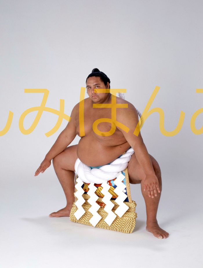 曙太郎関　優勝ミニ額 大相撲ミニ額 大相撲優勝額　平成５年９月場所 優勝 横綱 曙太郎関（５回目の優勝）優勝記念品 相撲グッズ 力士グッズ 相撲取りグッズ 国技館 限定品 記念品 コレクション 写真 H0509