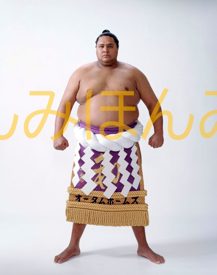曙太郎関　優勝ミニ額 大相撲ミニ額 大相撲優勝額　平成５年１１月場所 優勝 横綱 曙太郎関（６回目の優勝）優勝記念品 相撲グッズ 力士グッズ 相撲取りグッズ 国技館 限定品 記念品 コレクション 写真 H0511