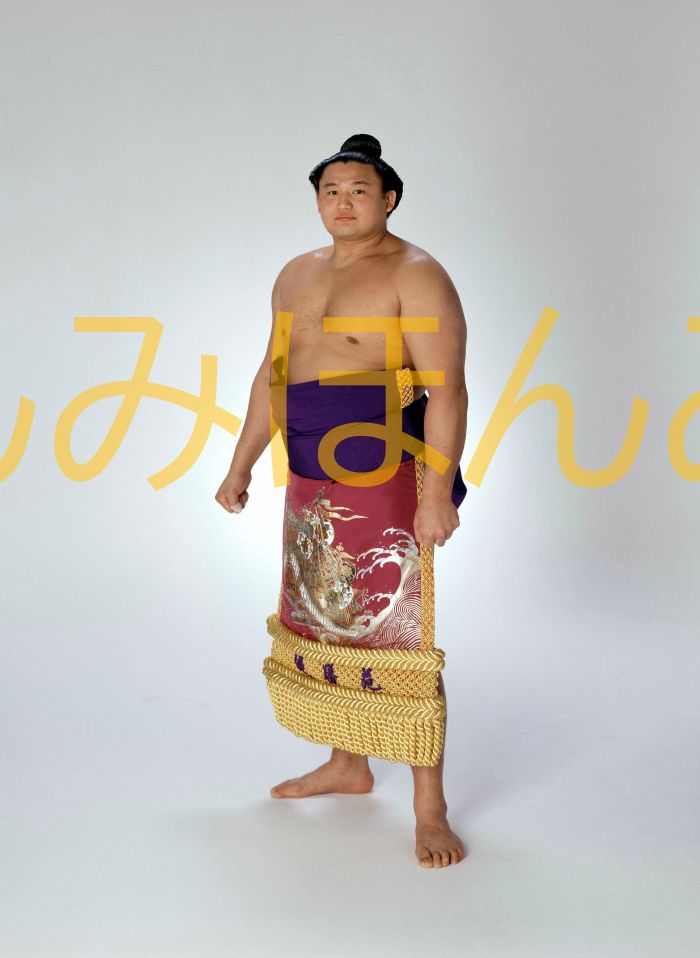 貴ノ花光司関　優勝ミニ額 大相撲ミニ額 大相撲優勝額　平成６年１月場所 優勝 大関 貴ノ花光司関（４回目の優勝）優勝記念品 相撲グッズ 力士グッズ 相撲取りグッズ 国技館 限定品 記念品 コレクション 写真 H0601
