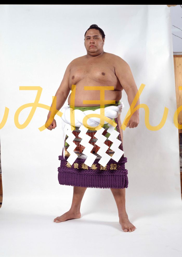 曙太郎関　優勝ミニ額 大相撲ミニ額 大相撲優勝額　平成６年３月場所 優勝 横綱 曙太郎関（７回目の優勝）優勝記念品 相撲グッズ 力士グッズ 相撲取りグッズ 国技館 限定品 記念品 コレクション 写真 H0603