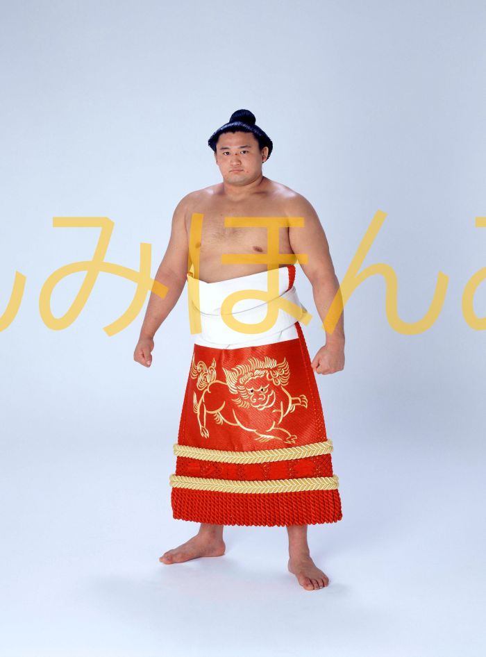 貴ノ花光司関　優勝ミニ額 大相撲ミニ額 大相撲優勝額　平成６年５月場所 優勝 大関 貴ノ花光司関（５回目の優勝）優勝記念品 相撲グッズ 力士グッズ 相撲取りグッズ 国技館 限定品 記念品 コレクション 写真 H0605