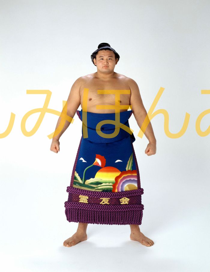 貴ノ花光司関　優勝ミニ額 大相撲ミニ額 大相撲優勝額　平成６年９月場所 全勝 大関 貴ノ花光司関（６回目の優勝）優勝記念品 相撲グッズ 力士グッズ 相撲取りグッズ 国技館 限定品 記念品 コレクション 写真 H0609