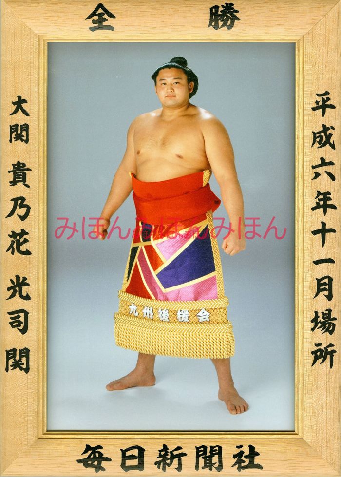 貴乃花光司関　優勝ミニ額 大相撲ミニ額 大相撲優勝額　平成６年１１月場所 全勝 大関 貴乃花光司関（７回目の優勝）優勝記念品 相撲グッズ 力士グッズ 相撲取りグッズ 国技館 限定品 記念品 コレクション 写真 H0611