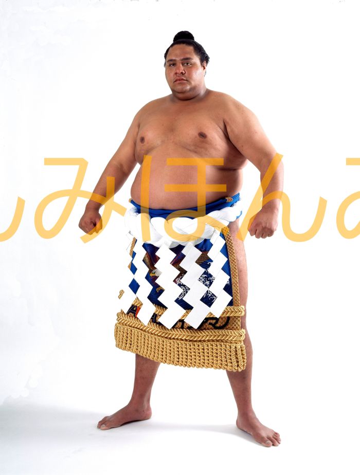 曙太郎関　優勝ミニ額 大相撲ミニ額 大相撲優勝額　平成７年３月場所 優勝 横綱 曙太郎関（８回目の優勝）優勝記念品 相撲グッズ 力士グッズ 相撲取りグッズ 国技館 限定品 記念品 コレクション 写真 H0703