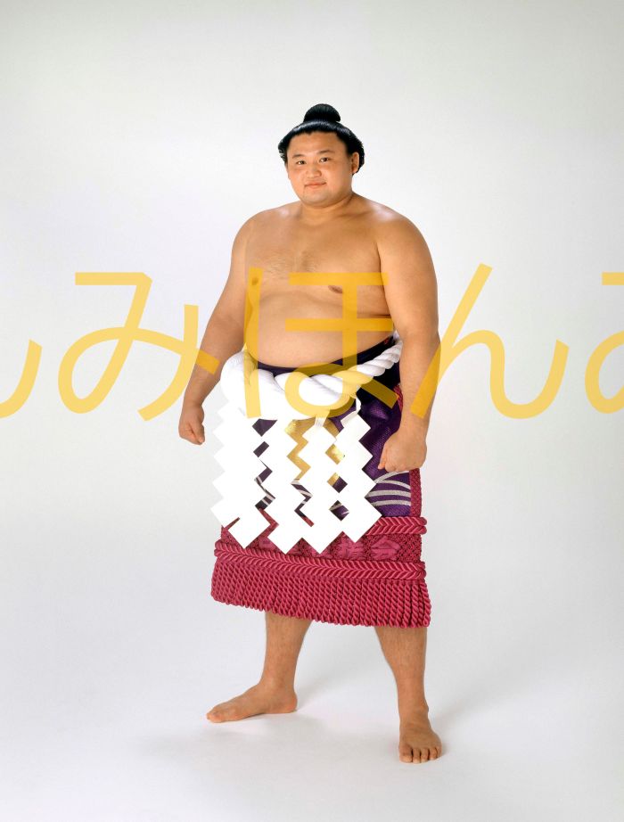 貴乃花光司関　優勝ミニ額 大相撲ミニ額 大相撲優勝額　平成７年７月場所 優勝 横綱 貴乃花光司関（１０回目の優勝）優勝記念品 相撲グッズ 力士グッズ 相撲取りグッズ 国技館 限定品 記念品 コレクション 写真 H0707