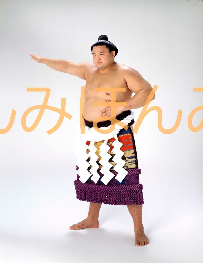 貴乃花光司関　優勝ミニ額 大相撲ミニ額 大相撲優勝額　平成７年９月場所 全勝 横綱 貴乃花光司関（１１回目の優勝）優勝記念品 相撲グッズ 力士グッズ 相撲取りグッズ 国技館 限定品 記念品 コレクション 写真 H0709