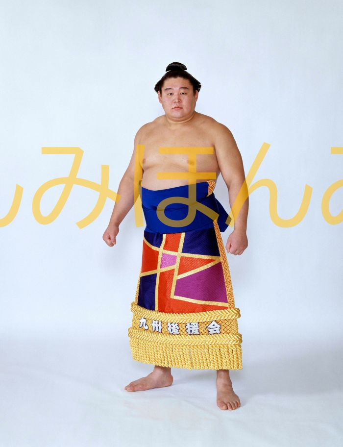 若乃花勝関　優勝ミニ額 大相撲ミニ額 大相撲優勝額　平成７年１１月場所 優勝 大関 若乃花勝関（２回目の優勝）優勝記念品 相撲グッズ 力士グッズ 相撲取りグッズ 国技館 限定品 記念品 コレクション 写真 H0711