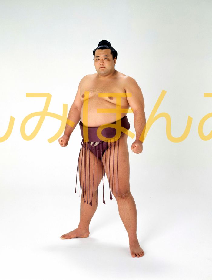 貴ノ浪貞博関　優勝ミニ額 大相撲ミニ額 大相撲優勝額　平成８年１月場所 優勝 大関 貴ノ浪貞博関（初優勝）優勝記念品 相撲グッズ 力士グッズ 相撲取りグッズ 国技館 限定品 記念品 コレクション 写真 H0801