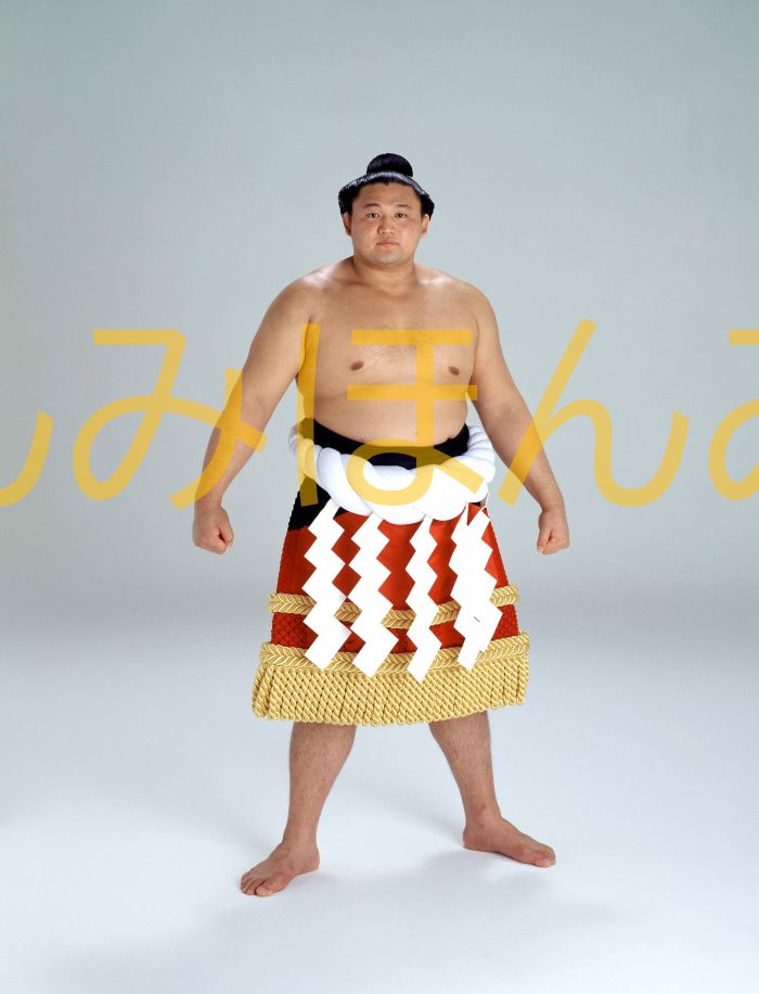 貴乃花光司関　優勝ミニ額 大相撲ミニ額 大相撲優勝額　平成８年５月場所 優勝 横綱 貴乃花光司関（１３回目の優勝）優勝記念品 相撲グッズ 力士グッズ 相撲取りグッズ 国技館 限定品 記念品 コレクション 写真 H0805
