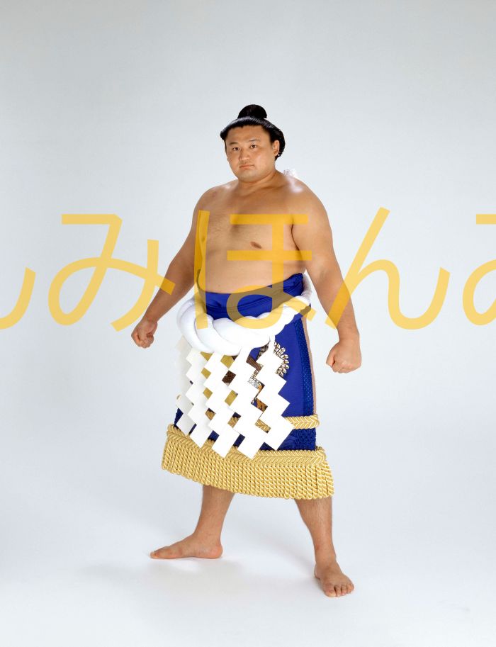 貴乃花光司関　優勝ミニ額 大相撲ミニ額 大相撲優勝額　平成８年７月場所 優勝 横綱 貴乃花光司関（1４回目の優勝）優勝記念品 相撲グッズ 力士グッズ 相撲取りグッズ 国技館 限定品 記念品 コレクション 写真 H0807