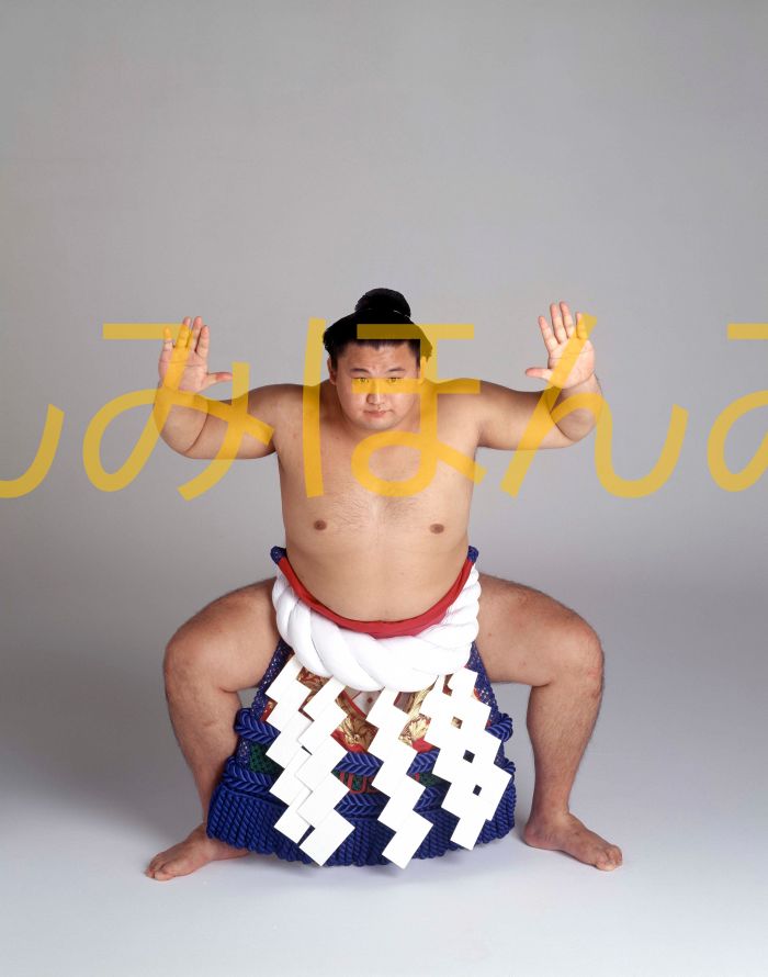 貴乃花光司関　優勝ミニ額 大相撲ミニ額 大相撲優勝額　平成８年９月場所 全勝 横綱 貴乃花光司関（1５回目の優勝）優勝記念品 相撲グッズ 力士グッズ 相撲取りグッズ 国技館 限定品 記念品 コレクション 写真 H0809