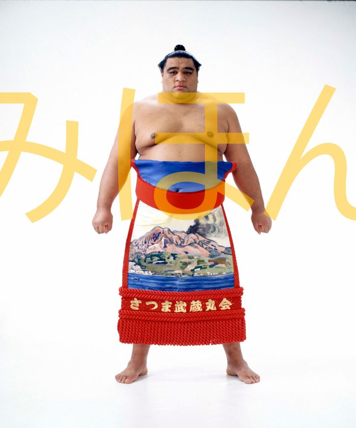 武蔵丸光洋関　優勝ミニ額 大相撲ミニ額 大相撲優勝額　平成８年１１月場所 優勝 大関 武蔵丸光洋関（２回目の優勝）優勝記念品 相撲グッズ 力士グッズ 相撲取りグッズ 国技館 限定品 記念品 コレクション 写真 H0811