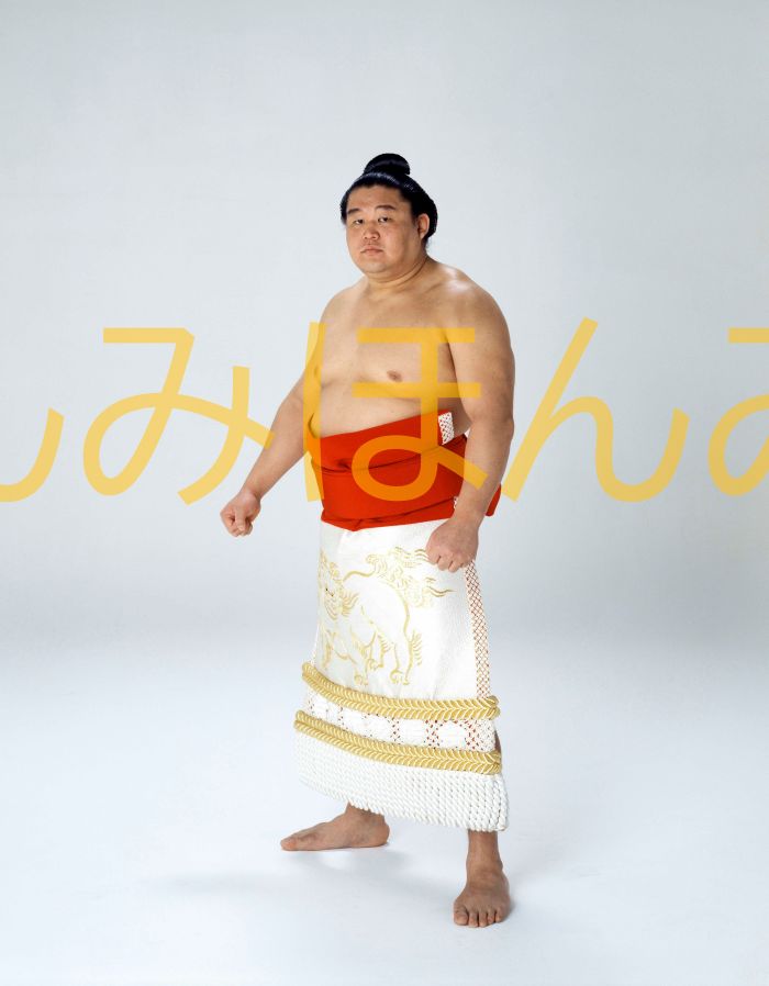 若乃花勝関　優勝ミニ額 大相撲ミニ額 大相撲優勝額　平成９年１月場所 優勝 大関 若乃花勝関（３回目の優勝）優勝記念品 相撲グッズ 力士グッズ 相撲取りグッズ 国技館 限定品 記念品 コレクション 写真 H0901