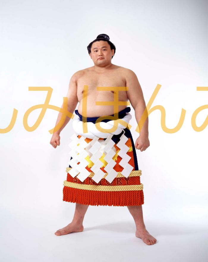 貴乃花光司関　優勝ミニ額 大相撲ミニ額 大相撲優勝額　平成９年３月場所 優勝 横綱 貴乃花光司関（１６回目の優勝）優勝記念品 相撲グッズ 力士グッズ 相撲取りグッズ 国技館 限定品 記念品 コレクション 写真 H0903