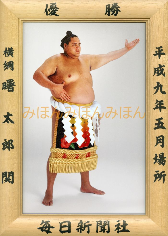 曙太郎関　優勝ミニ額 大相撲ミニ額 大相撲優勝額　平成９年５月場所 優勝 横綱 曙太郎関（９回目の優勝）優勝記念品 相撲グッズ 力士グッズ 相撲取りグッズ 国技館 限定品 記念品 コレクション 写真 H0905
