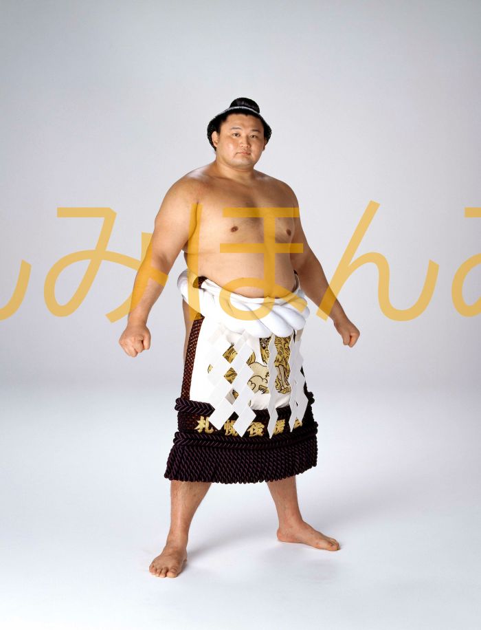 貴乃花光司関　優勝ミニ額 大相撲ミニ額 大相撲優勝額　平成９年７月場所 優勝 横綱 貴乃花光司関（１７回目の優勝）優勝記念品 相撲グッズ 力士グッズ 相撲取りグッズ 国技館 限定品 記念品 コレクション 写真 H0907