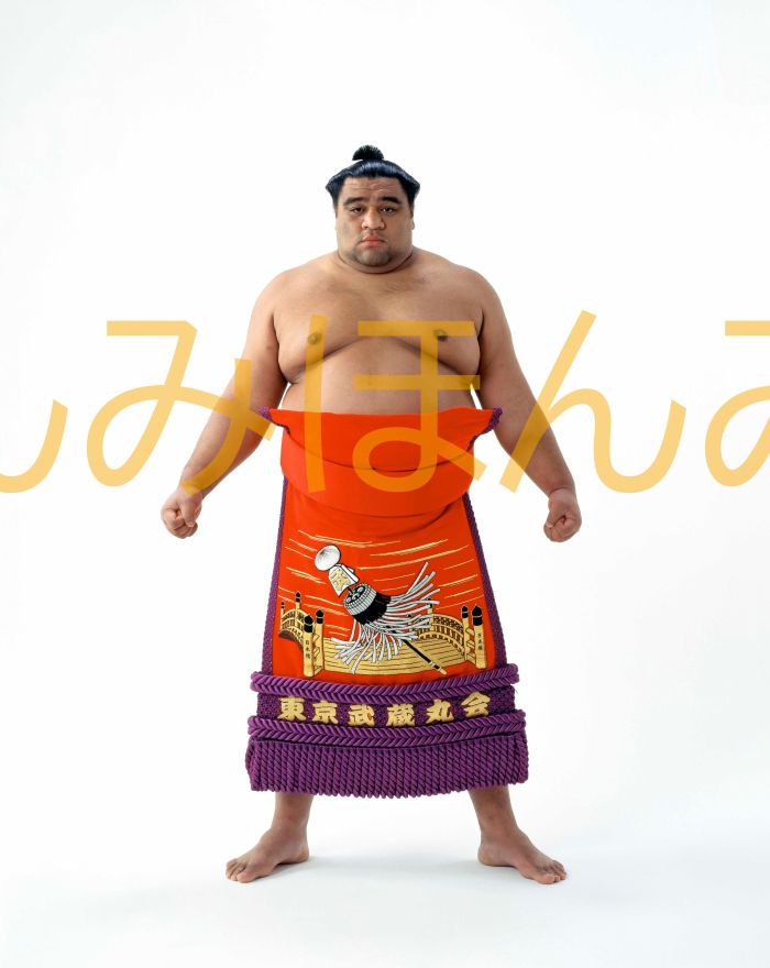 武蔵丸光洋関　優勝ミニ額 大相撲ミニ額 大相撲優勝額　平成１０年１月場所 優勝 大関 武蔵丸光洋関（３回目の優勝）優勝記念品 相撲グッズ 力士グッズ 相撲取りグッズ 国技館 限定品 記念品 コレクション 写真 H1001