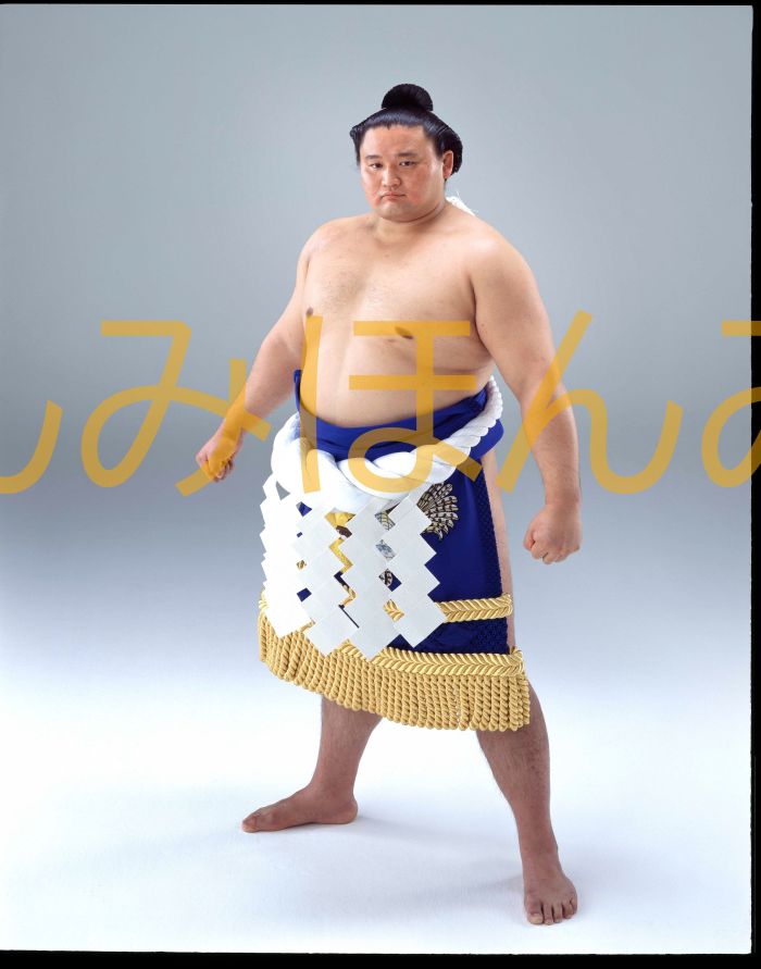 貴乃花光司関　優勝ミニ額 大相撲ミニ額 大相撲優勝額　平成１０年７月場所 優勝 横綱 貴乃花光司関（１９回目の優勝）優勝記念品 相撲グッズ 力士グッズ 相撲取りグッズ 国技館 限定品 記念品 コレクション 写真 H1007