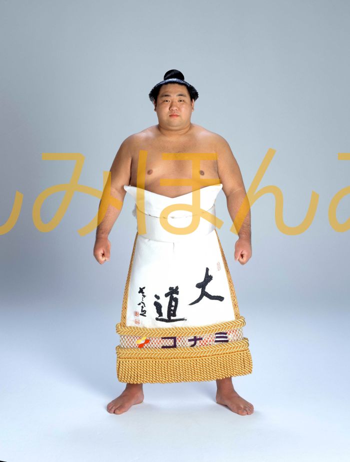 千代大海龍二関　優勝ミニ額 大相撲ミニ額 大相撲優勝額　平成１１年１月場所 優勝 関脇 千代大海龍二関（初優勝）優勝記念品 相撲グッズ 力士グッズ 相撲取りグッズ 国技館 限定品 記念品 コレクション 写真 H1101
