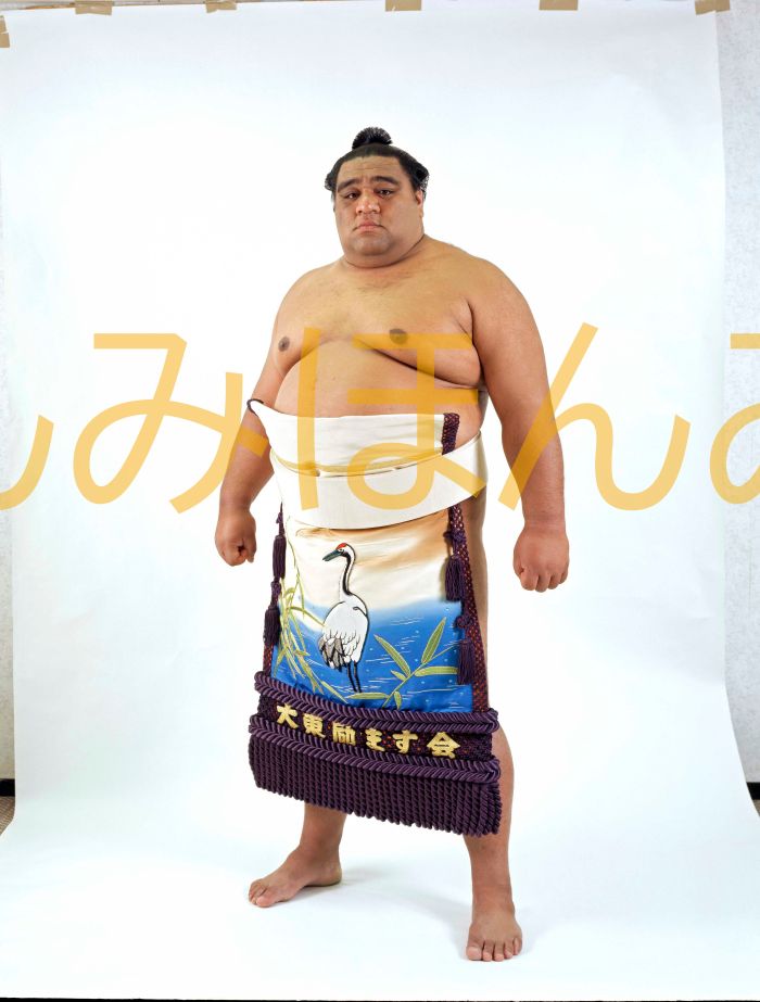 武蔵丸光洋関　優勝ミニ額 大相撲ミニ額 大相撲優勝額　平成１１年３月場所 優勝 大関 武蔵丸光洋関（４回目の優勝）優勝記念品 相撲グッズ 力士グッズ 相撲取りグッズ 国技館 限定品 記念品 コレクション 写真 H1103