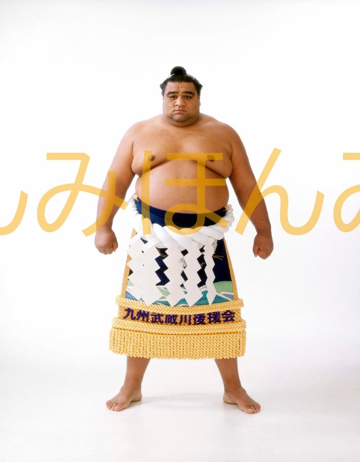 武蔵丸光洋関　優勝ミニ額 大相撲ミニ額 大相撲優勝額　平成１１年１１月場所 優勝 横綱 武蔵丸光洋関（７回目の優勝）優勝記念品 相撲グッズ 力士グッズ 相撲取りグッズ 国技館 限定品 記念品 コレクション 写真 H1111