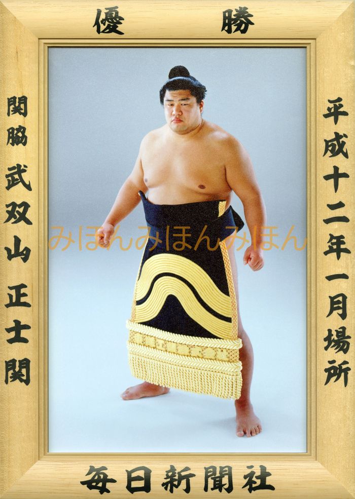 武双山正士関　優勝ミニ額 大相撲ミニ額 大相撲優勝額　平成１２年１月場所 優勝 関脇 武双山正士関優勝記念品 相撲グッズ 力士グッズ 相撲取りグッズ 国技館 限定品 記念品 コレクション 写真 H1201