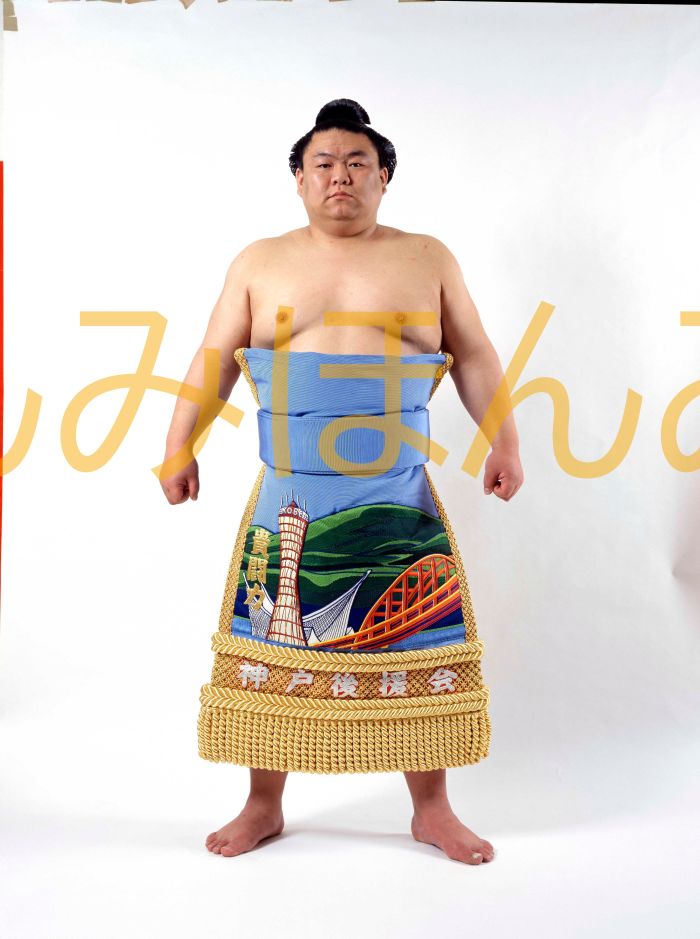 貴闘力忠茂関　優勝ミニ額 大相撲ミニ額 大相撲優勝額　平成１２年３月場所 優勝 前頭 貴闘力忠茂関優勝記念品 相撲グッズ 力士グッズ 相撲取りグッズ 国技館 限定品 記念品 コレクション 写真 H1203
