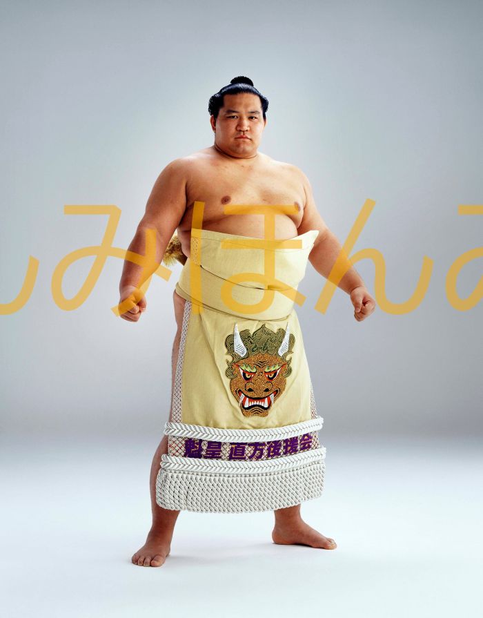 魁皇博之関　優勝ミニ額 大相撲ミニ額 大相撲優勝額　平成１２年５月場所 優勝 小結 魁皇博之関（初優勝）優勝記念品 相撲グッズ 力士グッズ 相撲取りグッズ 国技館 限定品 記念品 コレクション 写真 H1205