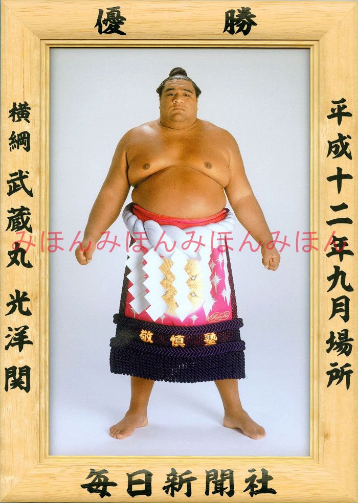 武蔵丸光洋関　優勝ミニ額 大相撲ミニ額 大相撲優勝額　平成１２年９月場所 優勝 横綱 武蔵丸光洋関（８回目の優勝）優勝記念品 相撲グッズ 力士グッズ 相撲取りグッズ 国技館 限定品 記念品 コレクション 写真 H1209