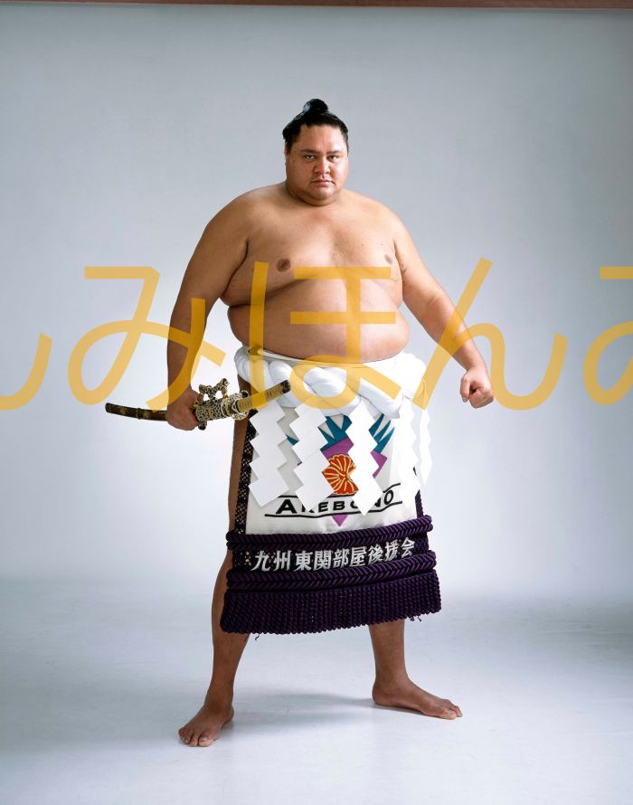 曙太郎関　優勝ミニ額 大相撲ミニ額 大相撲優勝額　平成１２年１１月場所 優勝 横綱 曙太郎関（１１回目最後の優勝）優勝記念品 相撲グッズ 力士グッズ 相撲取りグッズ 国技館 限定品 記念品 コレクション 写真 H1211