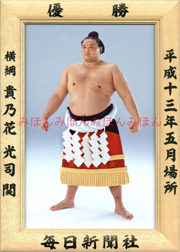貴乃花光司関　優勝ミニ額 大相撲ミニ額 大相撲優勝額　平成１３年５月場所 優勝 横綱 貴乃花光司関（２２回目最後の優勝）優勝記念品 相撲グッズ 力士グッズ 相撲取りグッズ 国技館 限定品 記念品 コレクション 写真 H1305
